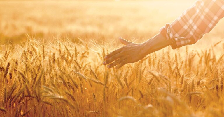 S&rsquo;abaisser pour recevoir